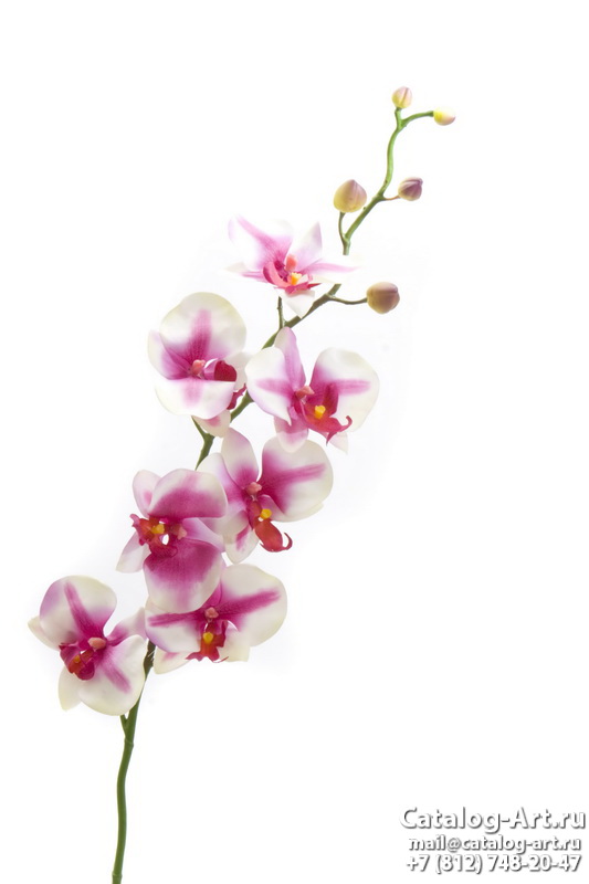 картинки для фотопечати на потолках, идеи, фото, образцы - Потолки с фотопечатью - Розовые орхидеи 16